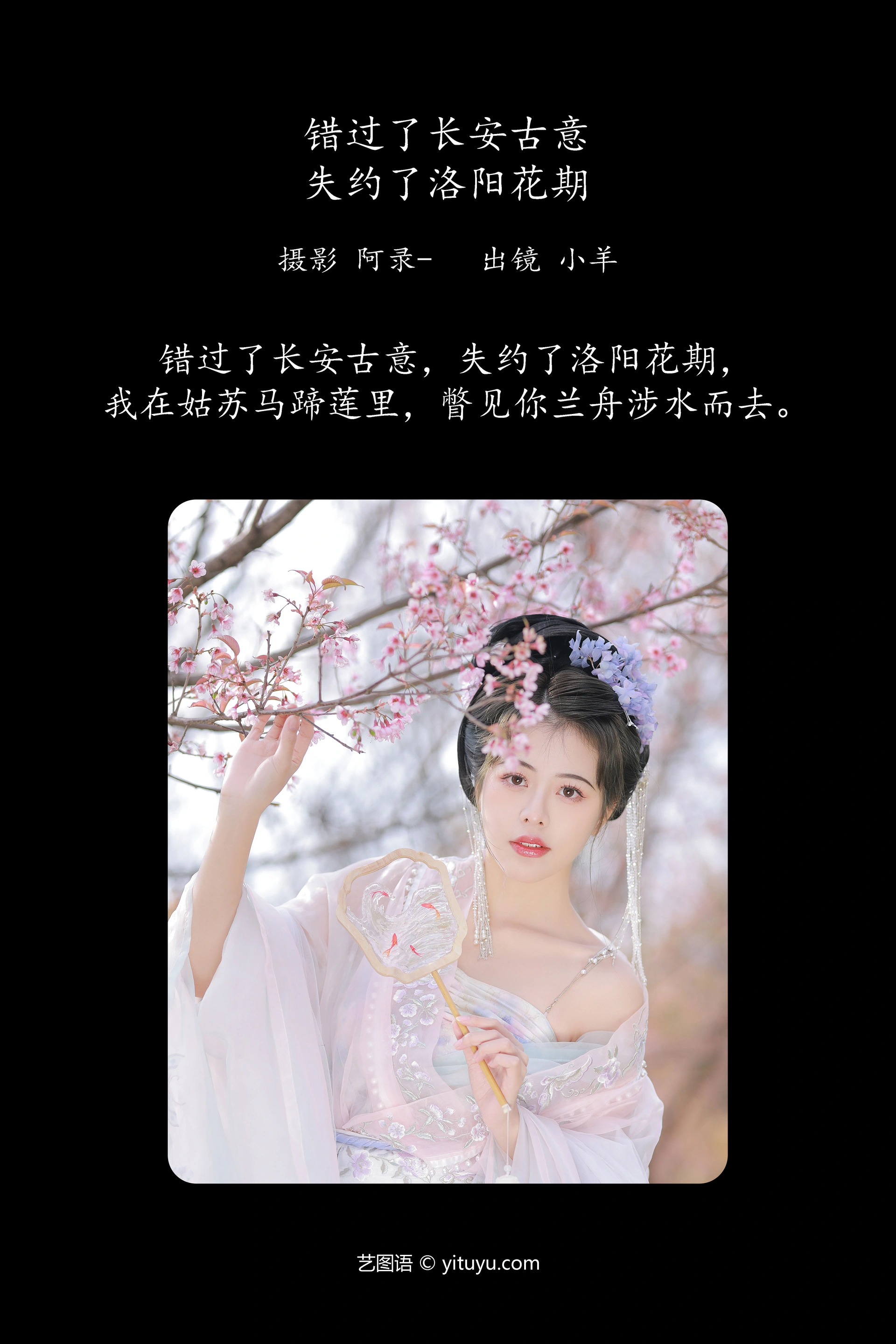 [YITUYU艺图语]2023.11.23 错过了长安古意，失约了洛阳花期 聒噪小羊 1